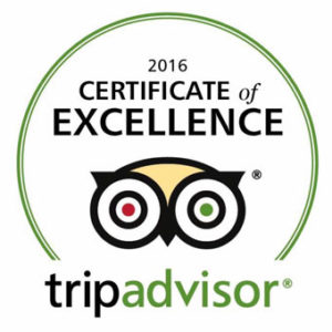 tripadvisor certificate of excellence