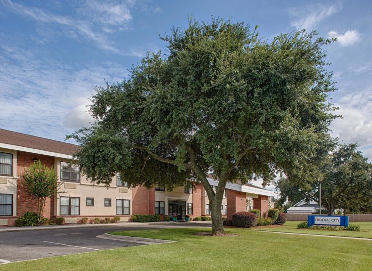 large tree at the front entrance of federal city inn and suites